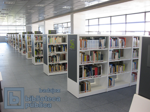 Resistiendo a la crisis: apertura de nuevas bibliotecas en España